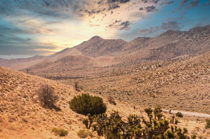 The desert region of the pacific crest trail in California, US.