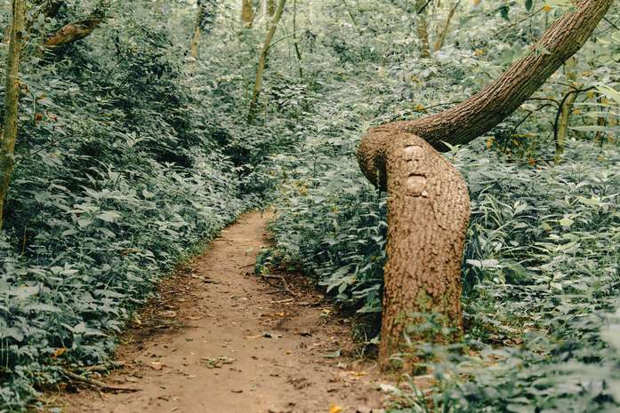 A trail where you are more likely to encounter a venomous snake while hiking
