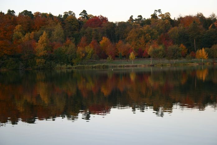 Lake Virginia in autumn