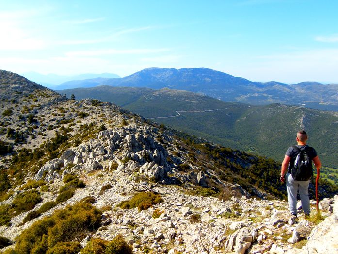 A hiker dressed lightly on a sunny day