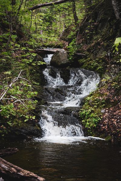 Clean water source in the backcountry