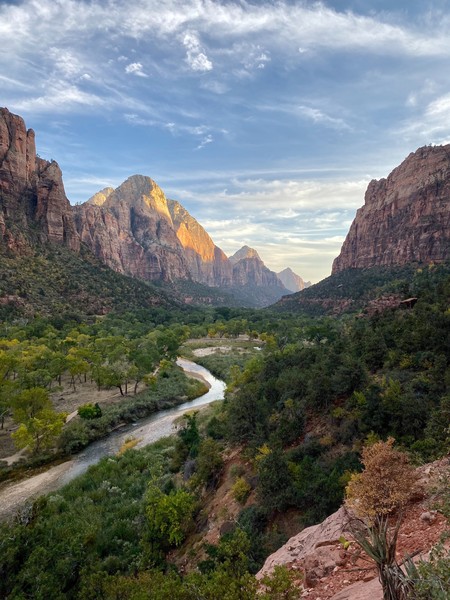A magnificent view of a section of the Zion National Park 