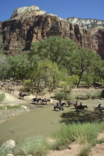 Horseback riding Zion National park.