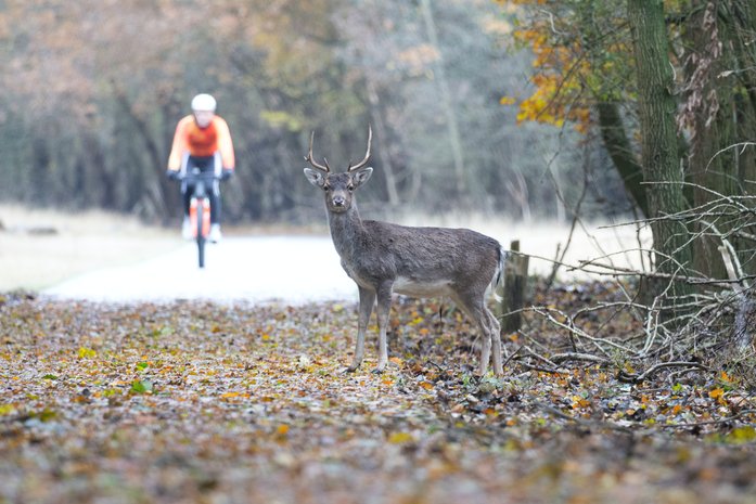 Biking in the National Park is an amazing experience.