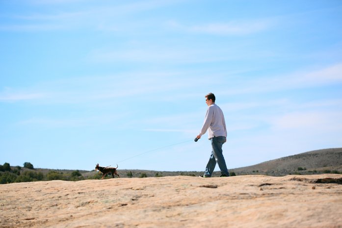 Dog owners appreciate pet-friendly hiking trails.