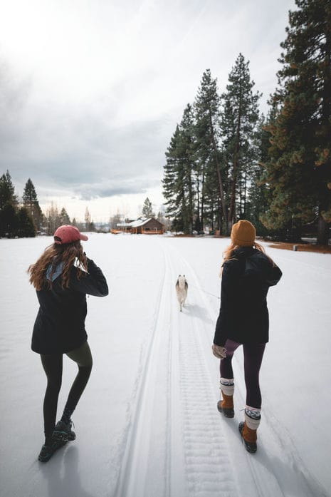 Hikers on the trail with their dog in winter
