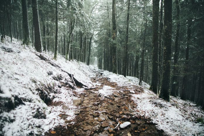 A hiking trail at the Great Smoky Mountains National Park in Winter.