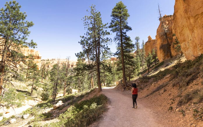 There are well-maintained hiking and biking trails in Bryce Canyon National Park.